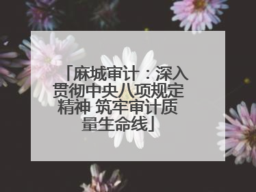 麻城审计：深入贯彻中央八项规定精神 筑牢审计质量生命线