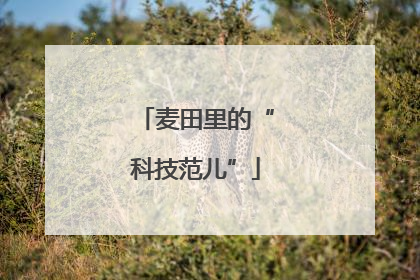 麦田里的“科技范儿”