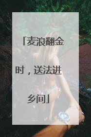 麦浪翻金时，送法进乡间