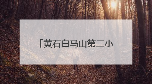 黄石白马山第二小学9月开学，1年级按对口学区招生