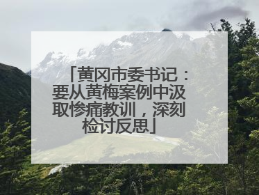 黄冈市委书记：要从黄梅案例中汲取惨痛教训，深刻检讨反思