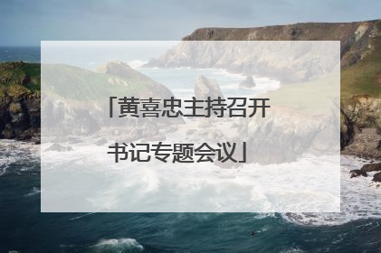 黄喜忠主持召开书记专题会议