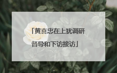 黄喜忠在上犹调研督导和下访接访