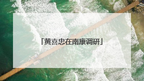 黄喜忠在南康调研