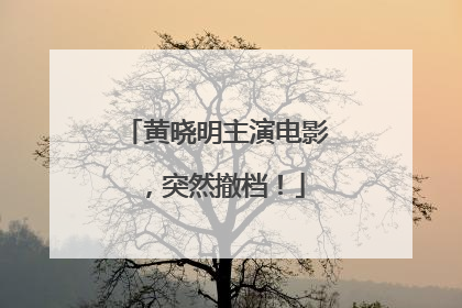 黄晓明主演电影，突然撤档！