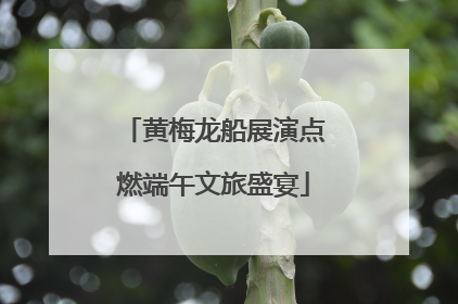 黄梅龙船展演点燃端午文旅盛宴