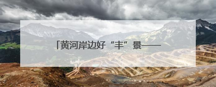 黄河岸边好“丰”景——合阳县特色农业养成记