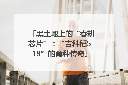 黑土地上的“春耕芯片”：“吉科稻518”的育种传奇