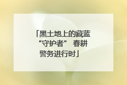 黑土地上的藏蓝“守护者” 春耕警务进行时