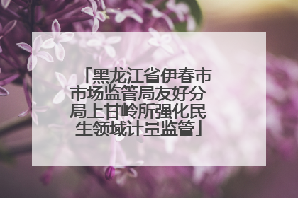 黑龙江省伊春市市场监管局友好分局上甘岭所强化民生领域计量监管
