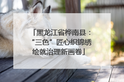 黑龙江省桦南县：“三色”匠心织锦绣 绘就治理新画卷