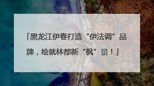 黑龙江伊春打造“伊法调”品牌，绘就林都新“枫”景！