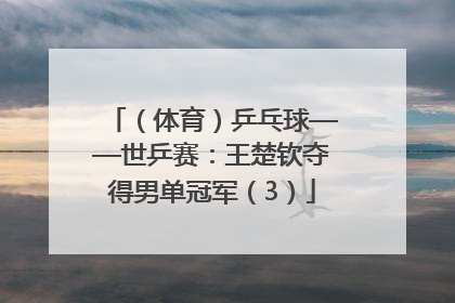 （体育）乒乓球——世乒赛：王楚钦夺得男单冠军（3）