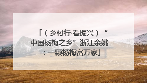 （乡村行·看振兴）“中国杨梅之乡”浙江余姚：一颗杨梅富万家