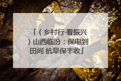 （乡村行·看振兴）山西临汾：保电到田间 抗旱保丰收