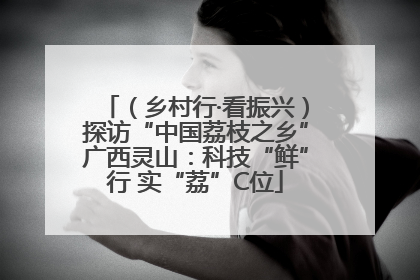 （乡村行·看振兴）探访“中国荔枝之乡”广西灵山：科技“鲜”行 实“荔”C位