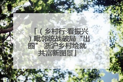 （乡村行·看振兴）毗邻统战破局“出圈” 浙沪乡村绘就共富新图景