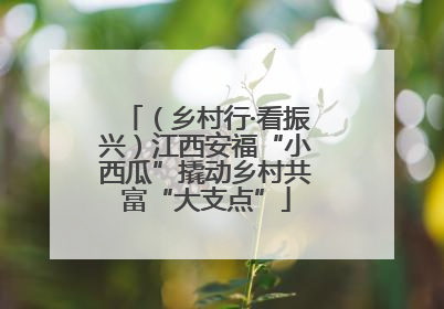 （乡村行·看振兴）江西安福“小西瓜”撬动乡村共富“大支点”