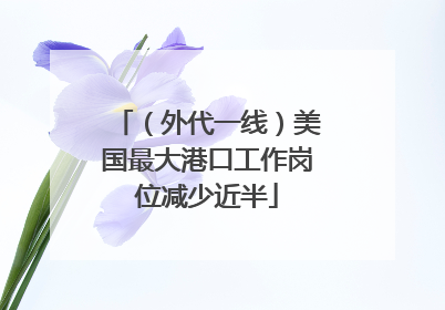 （外代一线）美国最大港口工作岗位减少近半