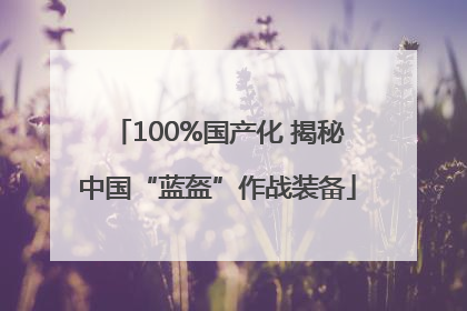 100%国产化 揭秘中国“蓝盔”作战装备