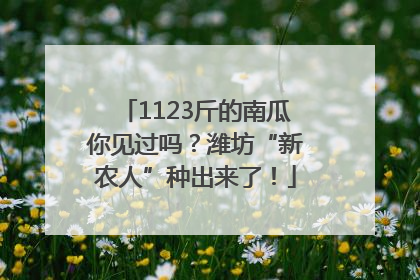 1123斤的南瓜你见过吗？潍坊“新农人”种出来了！