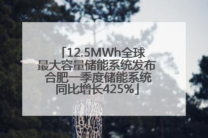 12.5MWh全球最大容量储能系统发布 合肥一季度储能系统同比增长425%