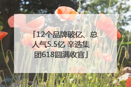 12个品牌破亿、总人气5.5亿 辛选集团618圆满收官