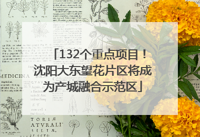 132个重点项目！沈阳大东望花片区将成为产城融合示范区