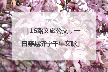16路文旅公交，一日穿越济宁千年文脉