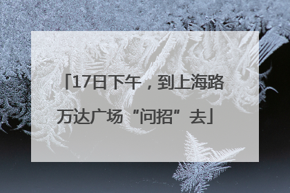 17日下午，到上海路万达广场“问招”去