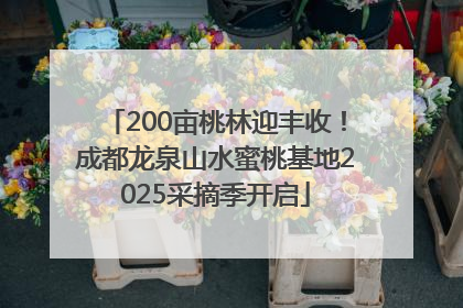 200亩桃林迎丰收！成都龙泉山水蜜桃基地2025采摘季开启