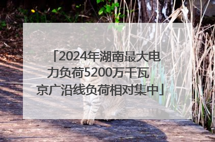 2024年湖南最大电力负荷5200万千瓦 京广沿线负荷相对集中