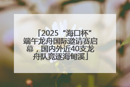 2025“海口杯”端午龙舟国际邀请赛启幕，国内外近40支龙舟队竞逐海甸溪