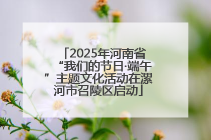 2025年河南省“我们的节日·端午”主题文化活动在漯河市召陵区启动