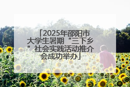 2025年邵阳市大学生暑期“三下乡”社会实践活动推介会成功举办