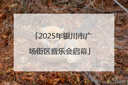 2025年银川市广场街区音乐会启幕