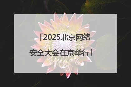 2025北京网络安全大会在京举行