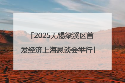 2025无锡梁溪区首发经济上海恳谈会举行