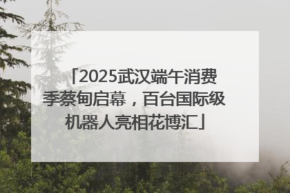 2025武汉端午消费季蔡甸启幕，百台国际级机器人亮相花博汇
