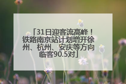 31日迎客流高峰！铁路南京站计划增开徐州、杭州、安庆等方向临客90.5对