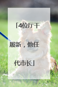 4位厅干履新，他任代市长