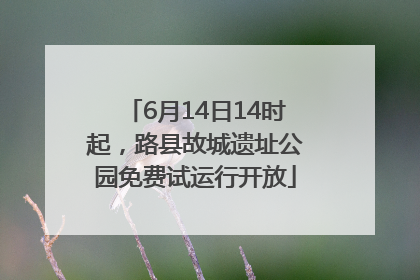 6月14日14时起，路县故城遗址公园免费试运行开放