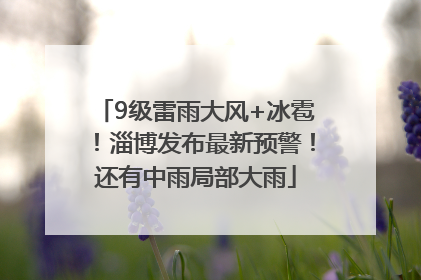 9级雷雨大风+冰雹！淄博发布最新预警！还有中雨局部大雨
