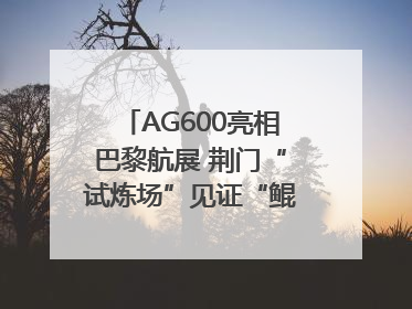 AG600亮相巴黎航展 荆门“试炼场”见证“鲲龙”腾飞