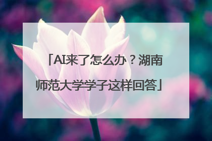 AI来了怎么办？湖南师范大学学子这样回答