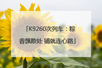 K9260次列车：粽香飘散处 铺就连心路