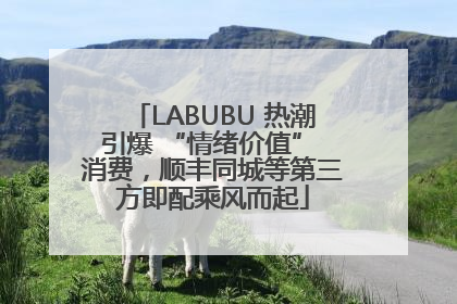 LABUBU 热潮引爆 “情绪价值” 消费，顺丰同城等第三方即配乘风而起