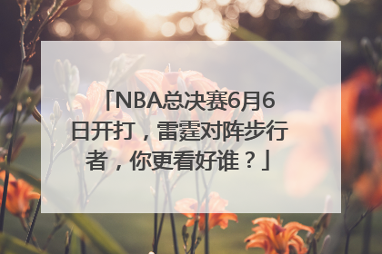 NBA总决赛6月6日开打，雷霆对阵步行者，你更看好谁？