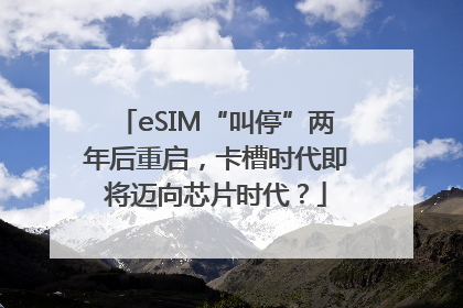 eSIM“叫停”两年后重启，卡槽时代即将迈向芯片时代？
